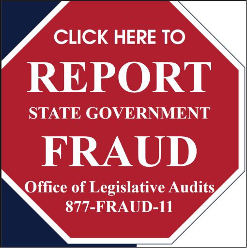 Report Fraud Link